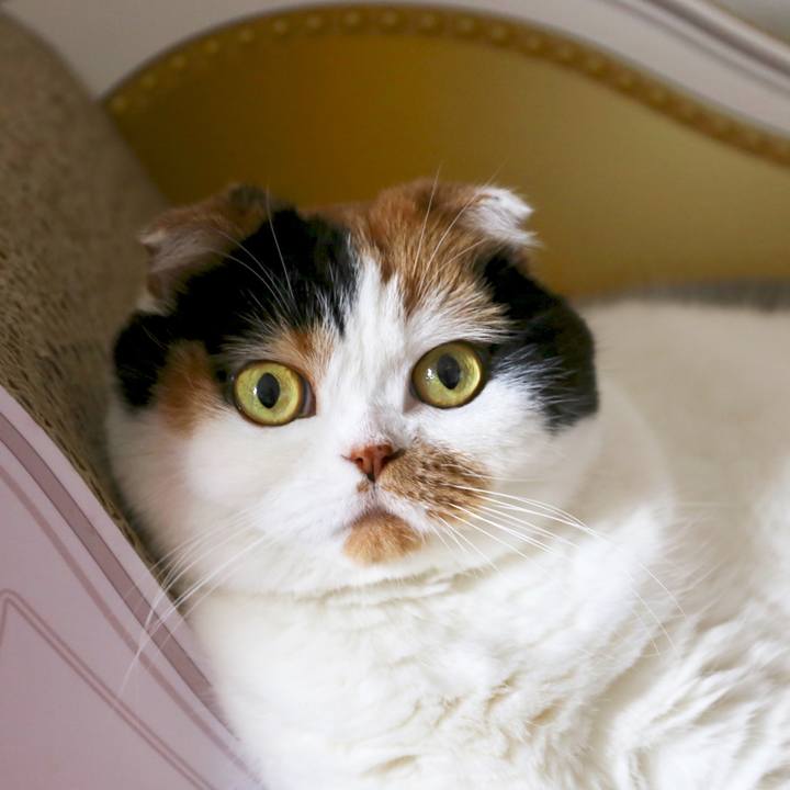 F369e0b3 5a8f 4b77 8275 d0efbe611afd 1562909621546