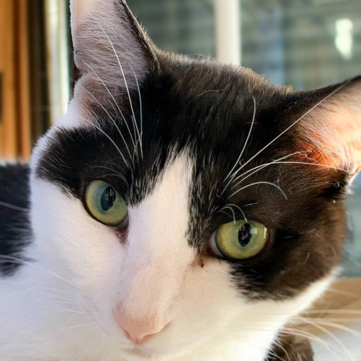 F369e32d 201e 48bf 8a5e d56d4e4aeb02 1593829492987