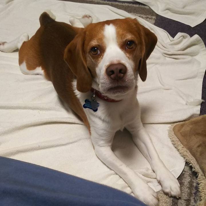 F36a0016 e6f5 4268 9f69 48b83f1e92aa 1633335826036