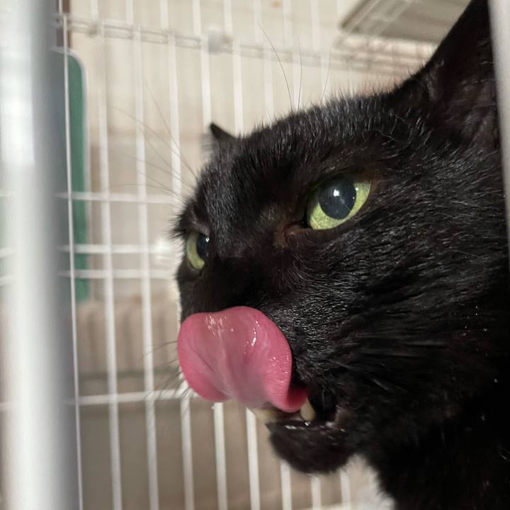 F36a24a2 5c82 4093 8626 939641c945ff 1633742525277