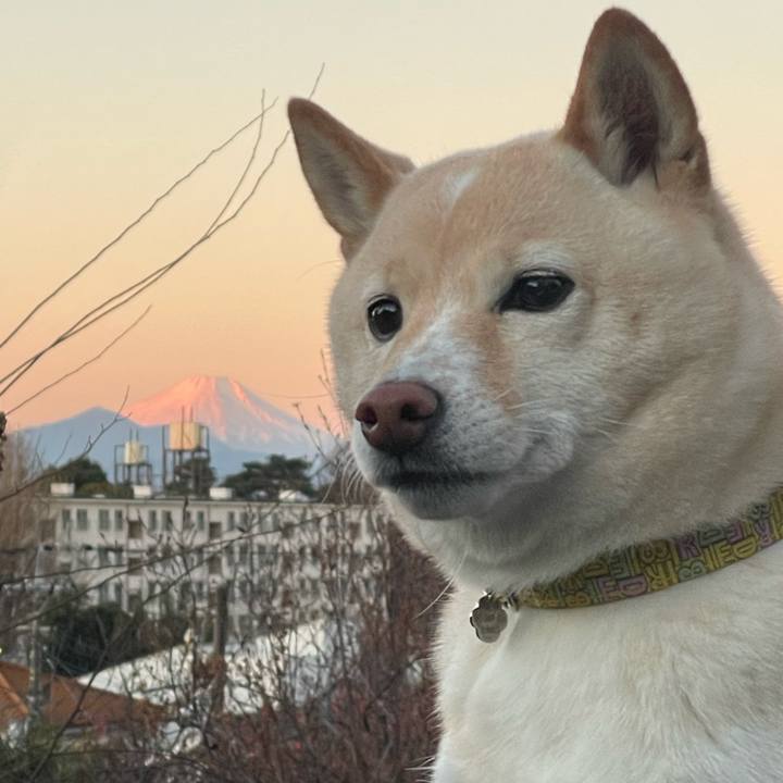 F36a4d9b cb2e 4dec a86f 960b6cfb9409 1672532123785