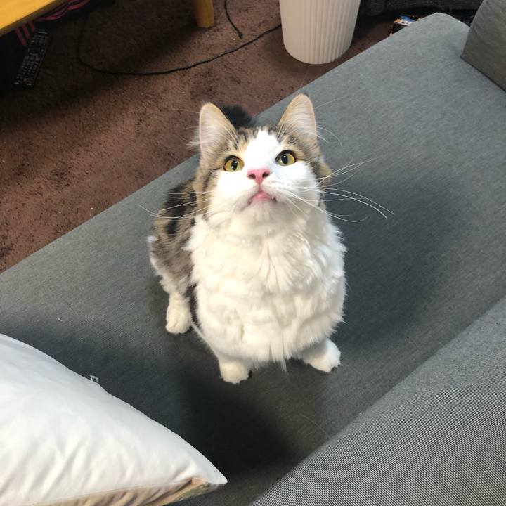 F36a61b4 b8bf 44a5 816c 8507c0cd5508 1530946711332