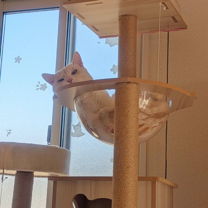 F36a6a2e 2aa6 43ff 922c 81679c57e1ae 1768702775711