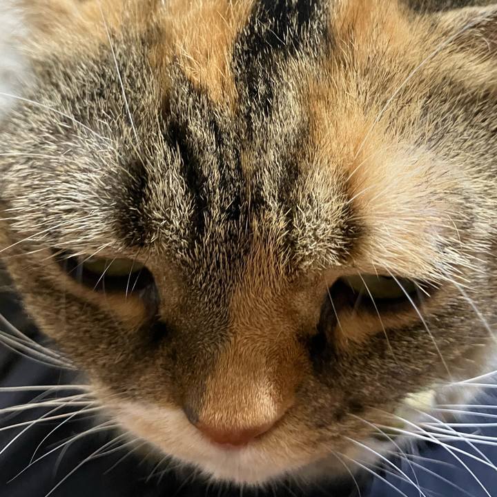 F36a6b74 1950 4c53 a0d9 b4b372734117 1757852678366