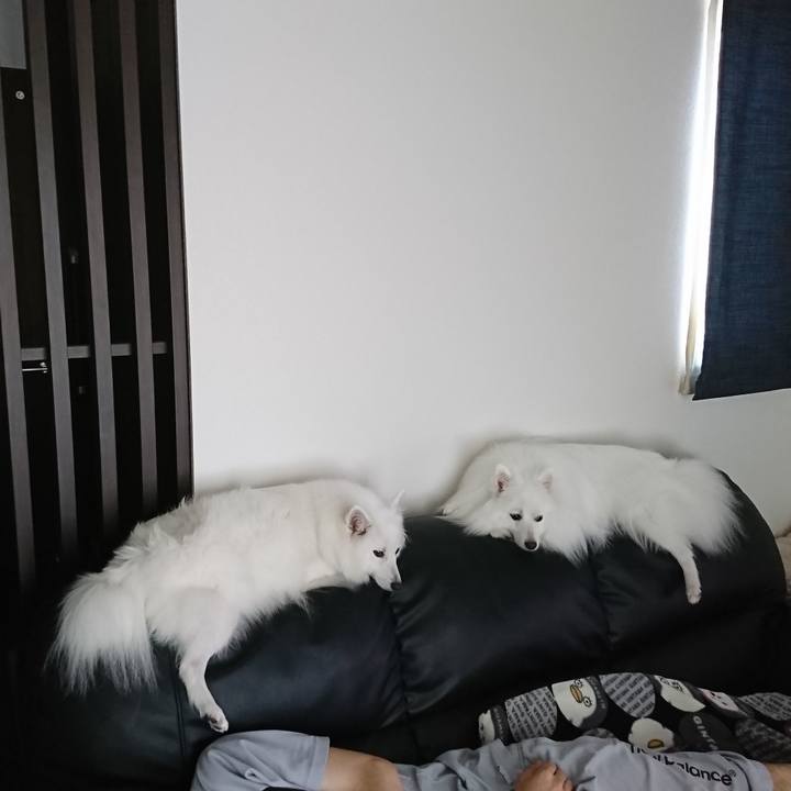 F36a7517 ed1b 48a2 9b2e ac49dfb8382a 1597555435051