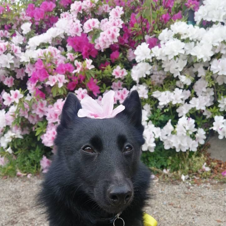 F36a77b1 f1c2 4edf b95b b9a182b3d976 1651273518861