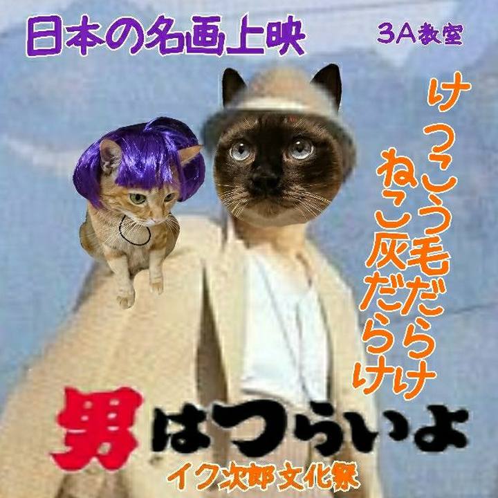 F36aa248 23d2 4e7c b114 6ae83c2b7d13 1541247994202