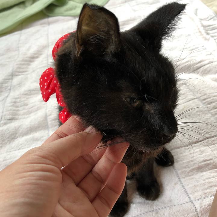 F36adf37 8624 4df9 a366 bceabed07895 1558474870781