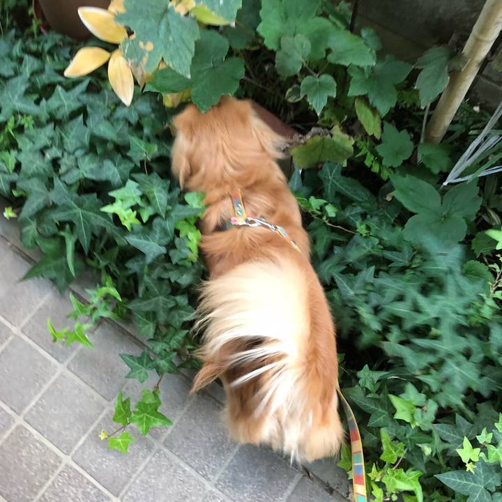 F36aecce 761f 48ce 92a0 af53669012a6 1511564175287