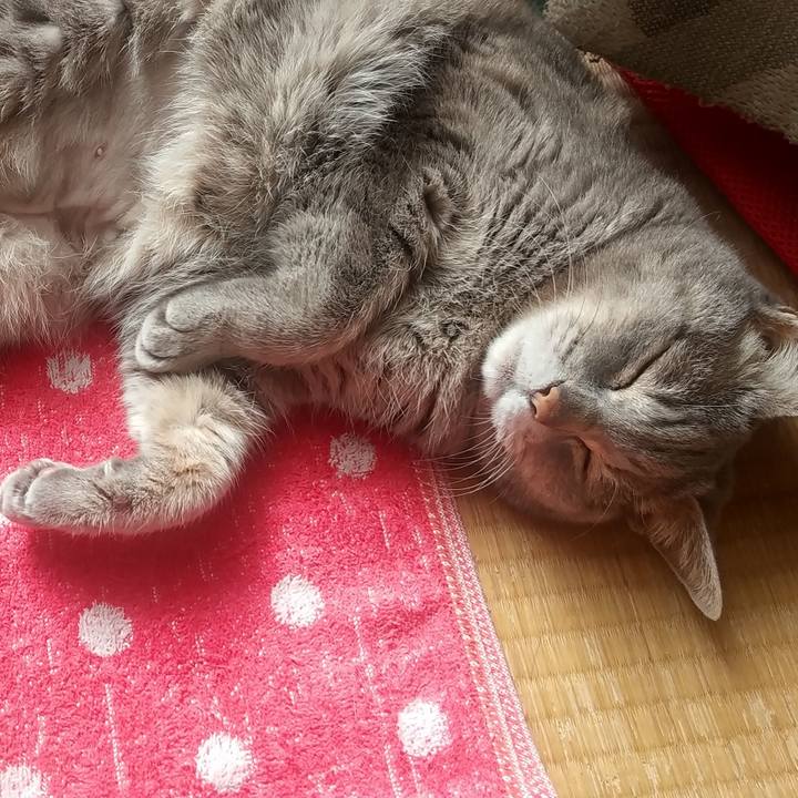 F36af755 d906 4640 b14c b7d8c64913eb 1679185625633