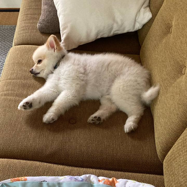 F36b5d87 9eb0 4484 ad1b b29dbd1dd4b9 1630538719707