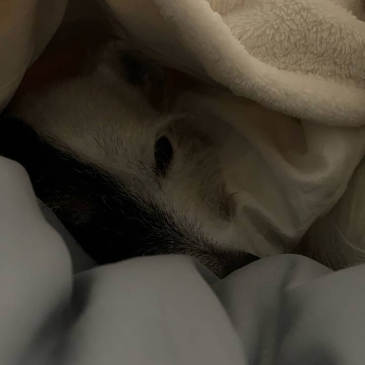 F36b690c 3199 4352 9a69 3087aa18c31b 1732195771878