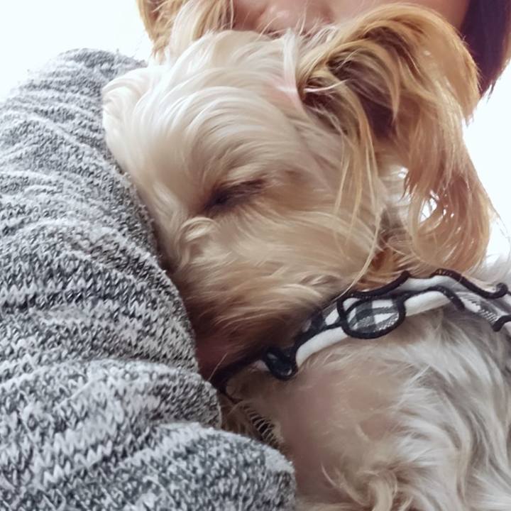 F36b6bf2 99b1 45bf bbd4 dbadcb610287 1742292377210