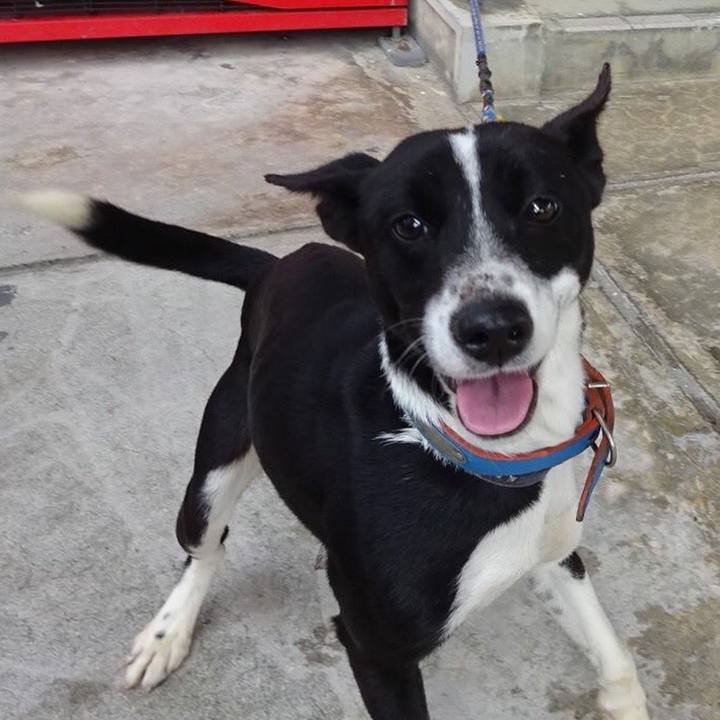 F36b776d a67a 4d3e 8151 f08c4828e1a6 1557467766414