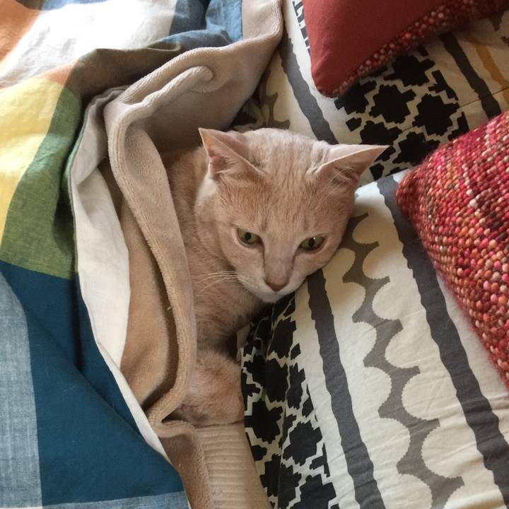 F36c1945 43ad 41c4 b777 b11970a8c79e 1577952433239