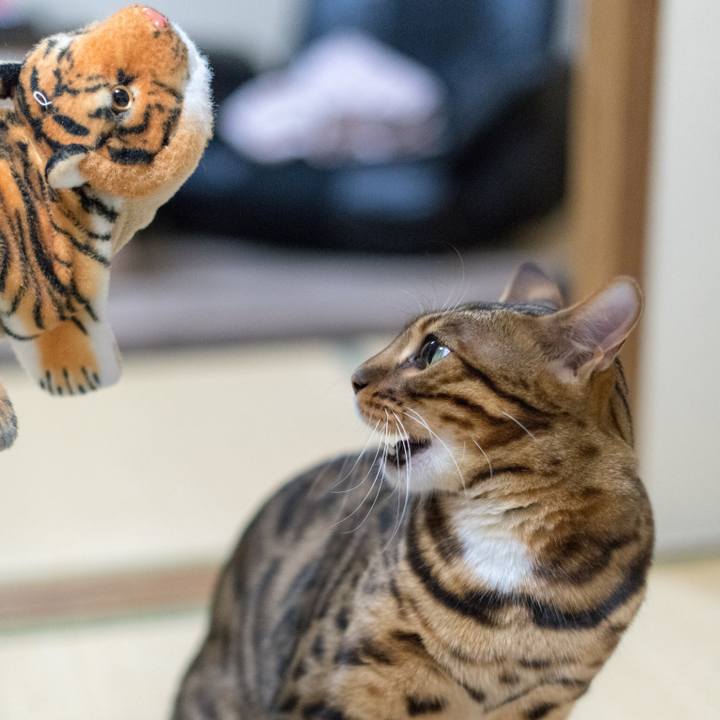 F36c23b8 d754 4048 9046 57f4d077201a 1519315056673