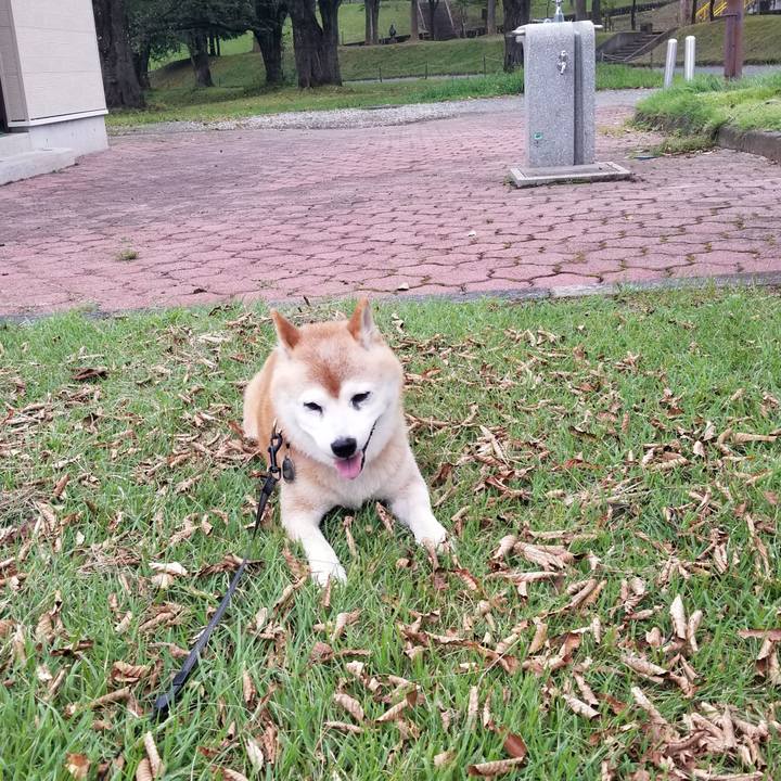 F36c65ca 314d 489c b3b2 e2c54448aa41 1727509284728