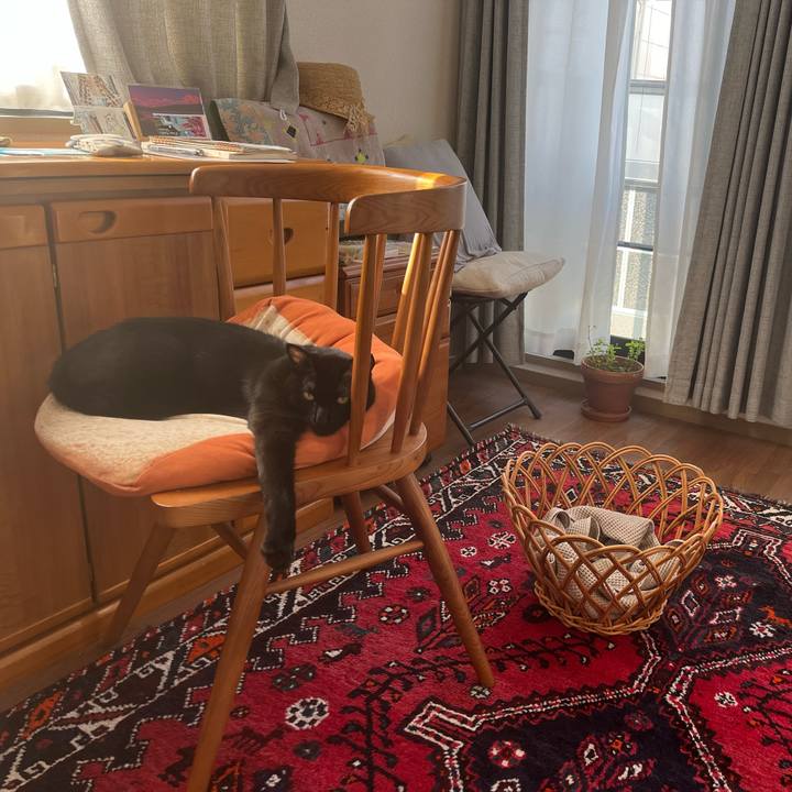 F36cfe86 c8ed 4a0b bed2 a235a107f41a 1692491230914