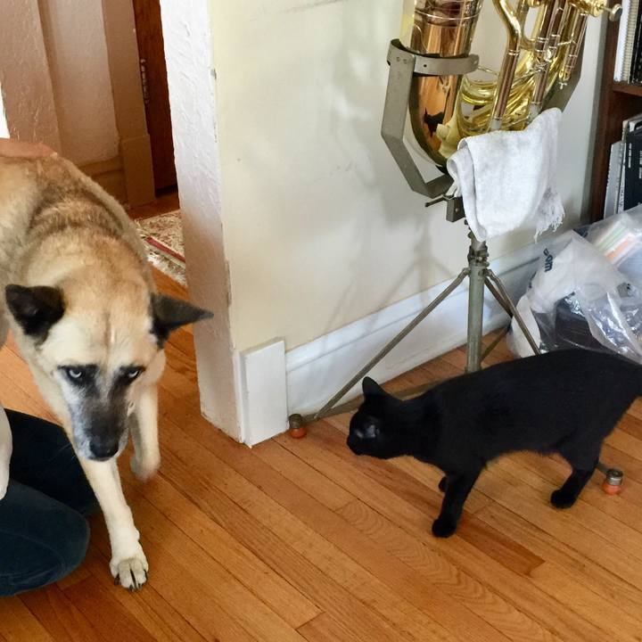 F36d3b36 e6f2 410e 9a2f 6e943e49cc0f 1526514775533