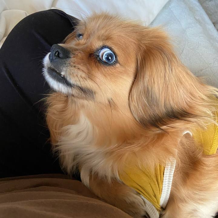 F36d44ca 785a 4322 ba86 d70b55e689cf 1619473630182