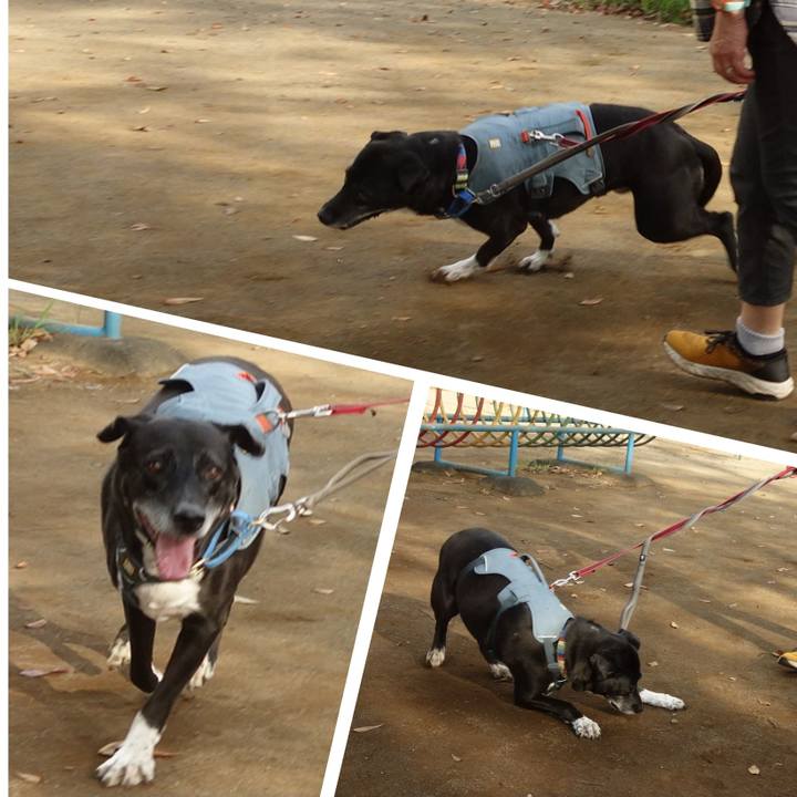 F36d44dc 1774 4be1 9c1a 36b78b98c672 1725839213809