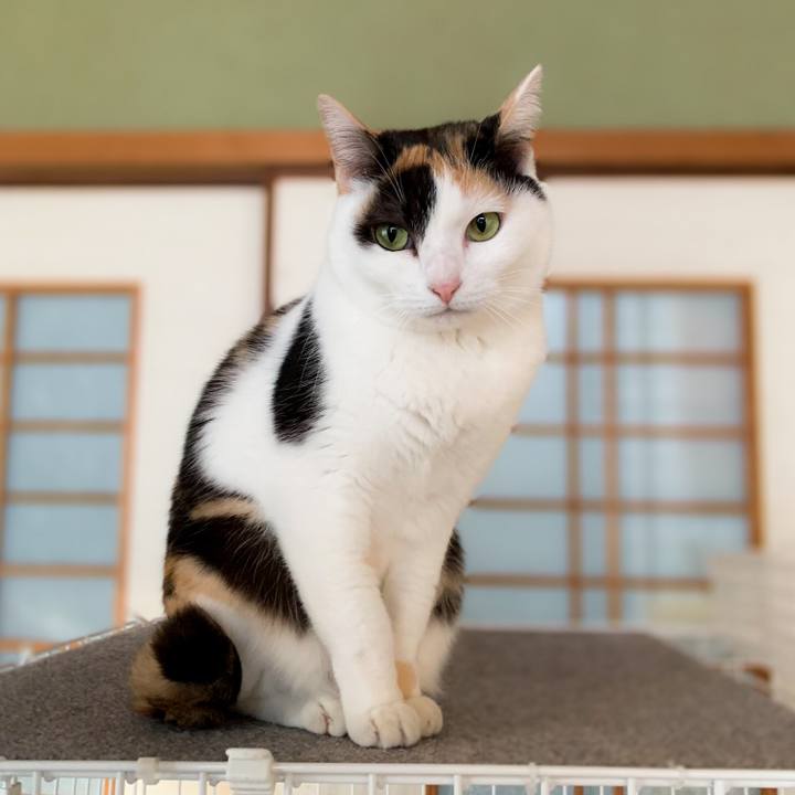 F36d5dea 449c 460d 8e77 5c5313d09ce6 1593050872560