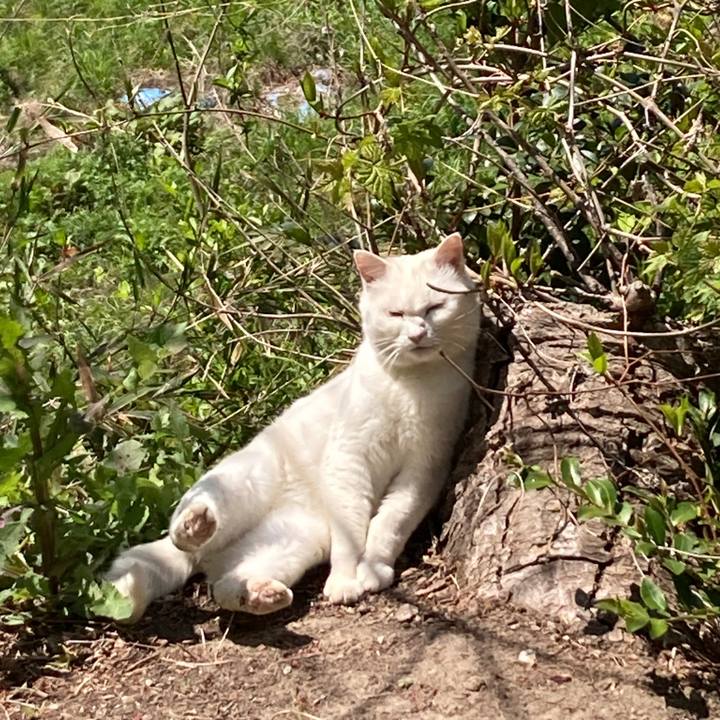 F36d8116 7974 40ca 8a47 b4b0af059816 1619569149794