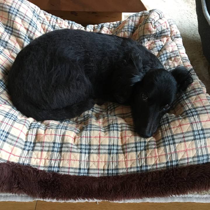 F36d8d25 2694 4309 8c2d ed3287b366e4 1525213899347