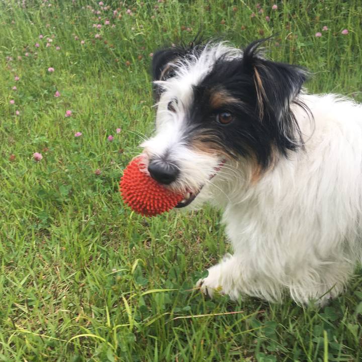 F36d9788 0e31 4a70 a59e 5b52f8671802 1527632931144