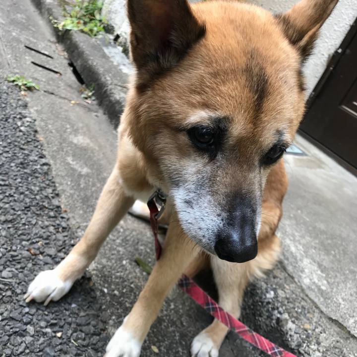 F36dac14 04fa 4555 905b 0a725063c7a7 1523574035341