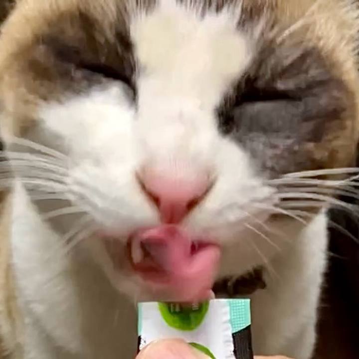 F36dec5a 3bbd 4ed2 ac14 9122832487ea 1737538790905