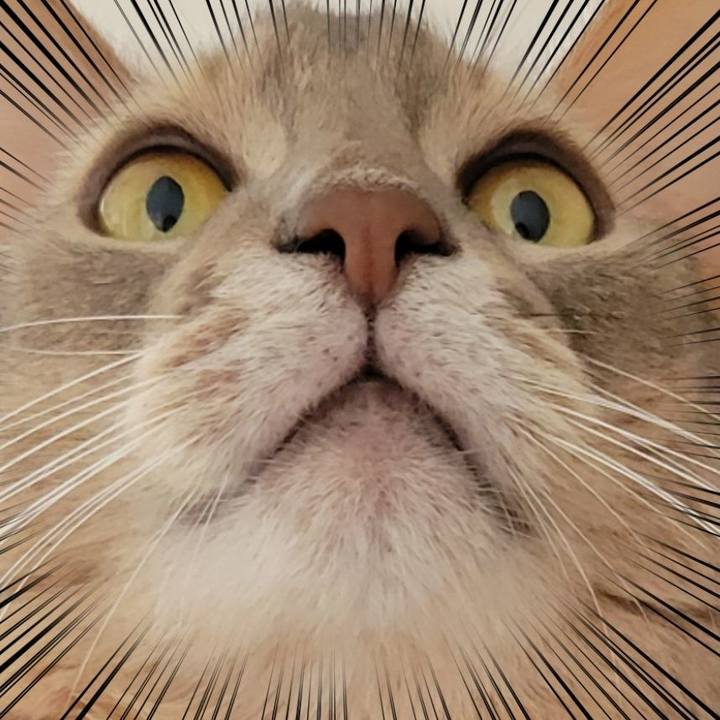 F36def62 4843 4d4c 87d2 0aa884ee4424 1665651447462