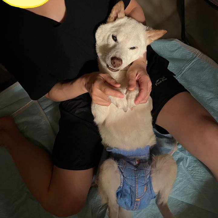 F36df245 1995 4c9b b7d0 12addd2c3c13 1660401739694