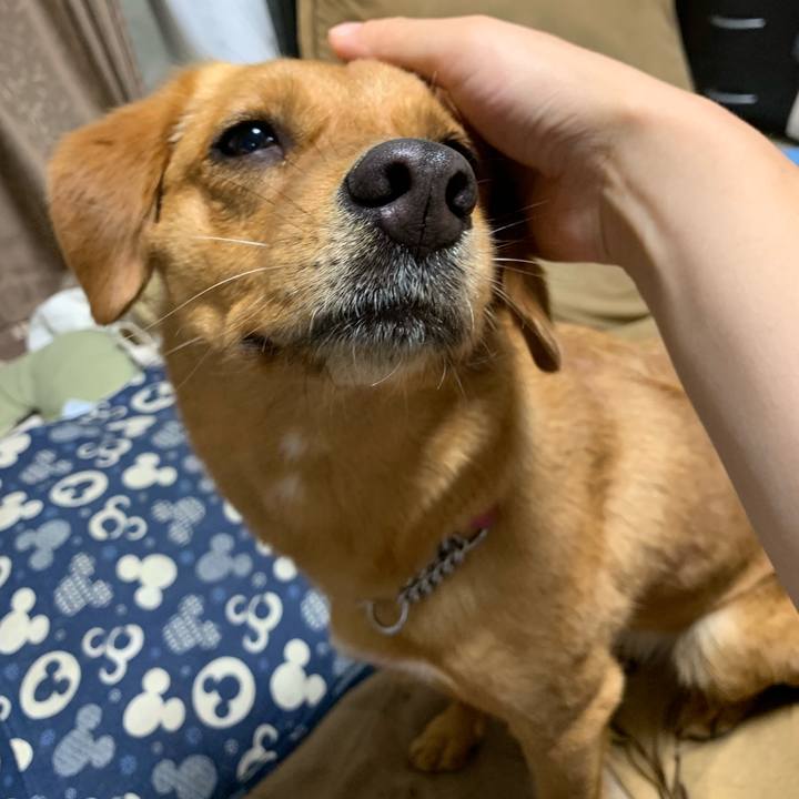 F36e3712 34a9 44b1 bc3b 4bf0e4473968 1561590245177