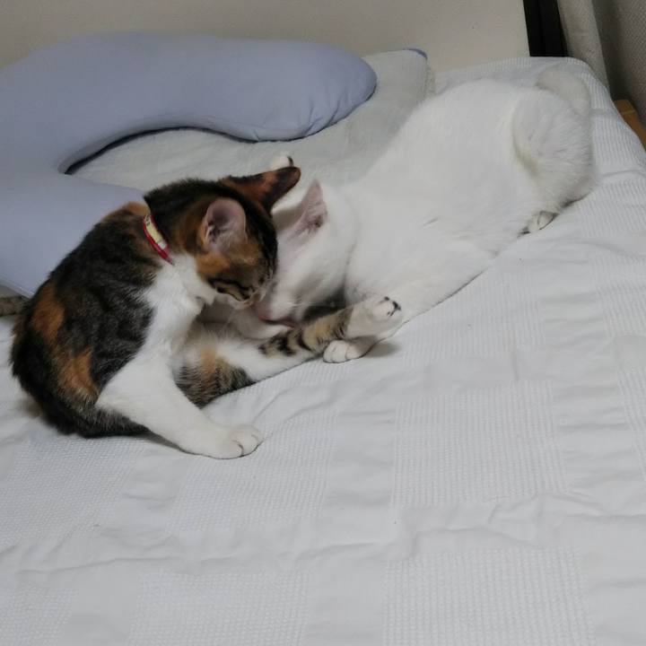 F36e6feb ee02 41c3 aff8 9939e9599dda 1633950543050