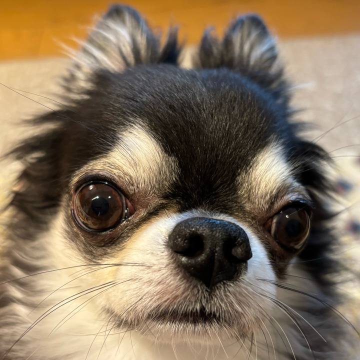 F36ec18c c230 4e51 9930 4ce1b19fcd9e 1723589864739