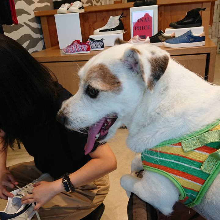 F36ee9b5 b2d3 4352 8ad1 85c5802dd3a3 1537138052946