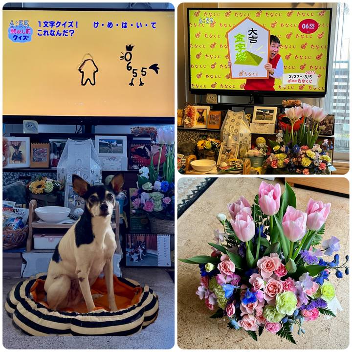 F36f2d12 c0cf 49da 9644 35699e759dcf 1677621627880