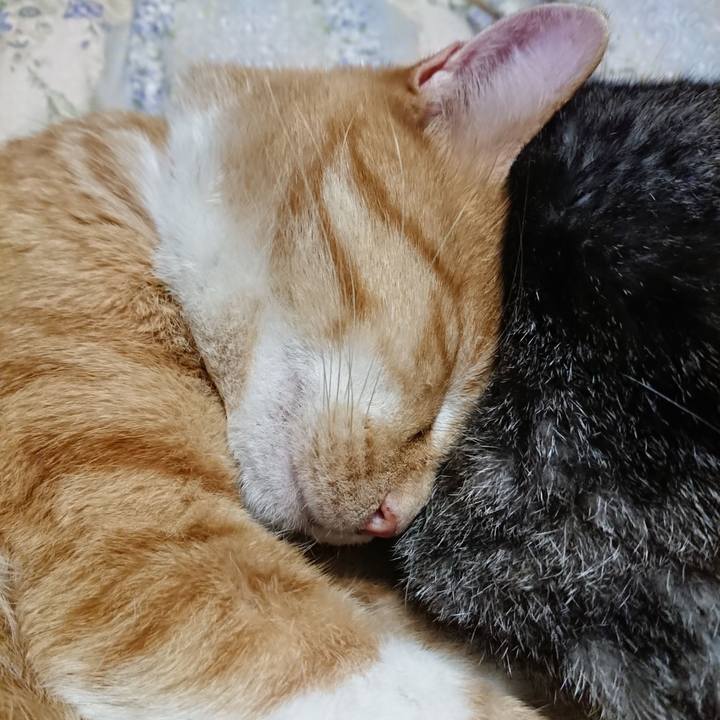 F36f386e a4de 42bd 8732 6d36c5e0b9a4 1573216004066