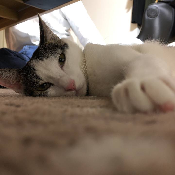 F36f6146 3dab 4b61 b08a 4030e3dbe477 1603888875897