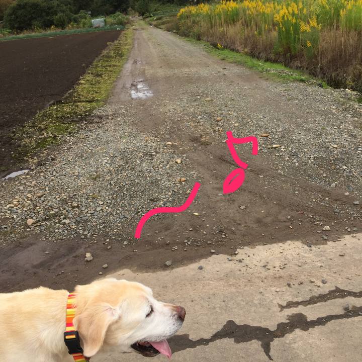 F36f739a da30 4ba0 bfea 157e2285616f 1508479138832