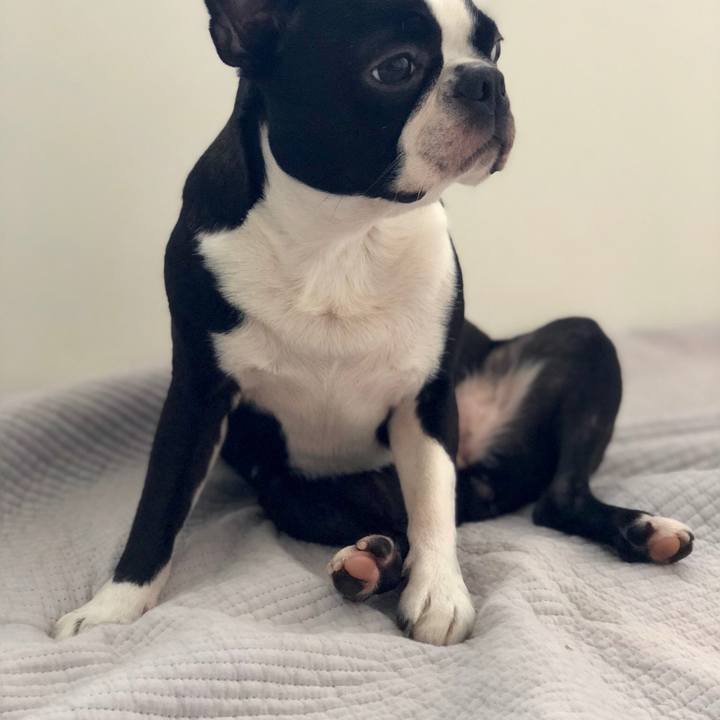 F36fa53f a216 4503 96f3 72c6de2101e5 1541993484847