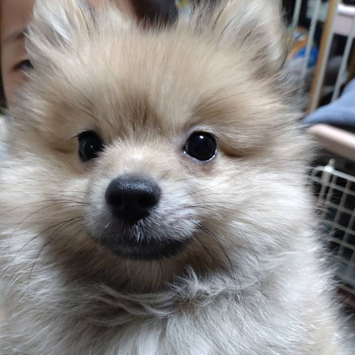 F36fb2b5 a0e9 49e8 9677 c1ad04ca0c65 1721868248612