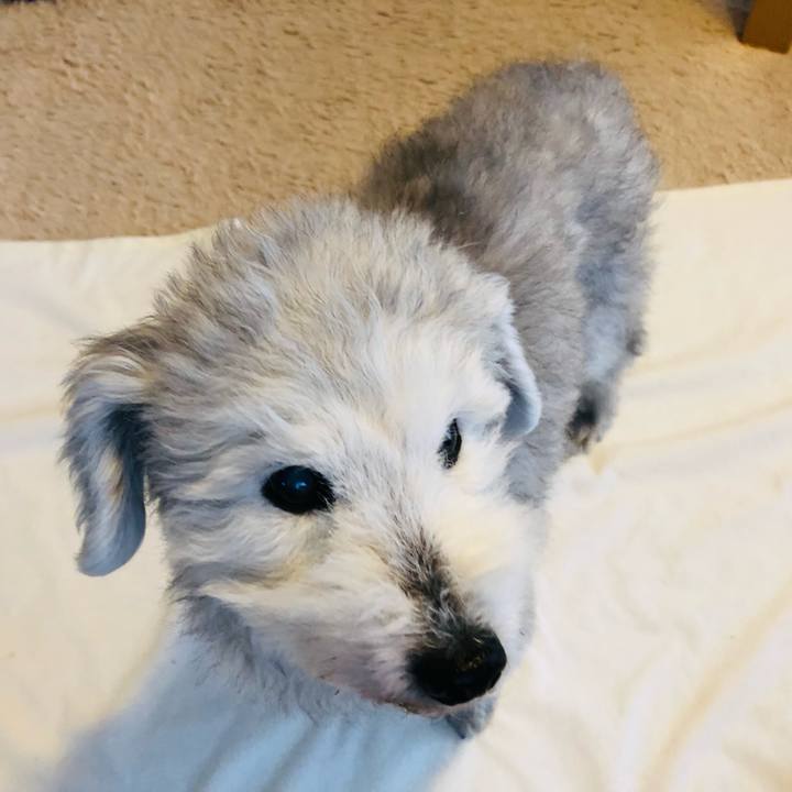 F36fb6d2 e5ec 4429 897c de02e4ddfe97 1643329046981