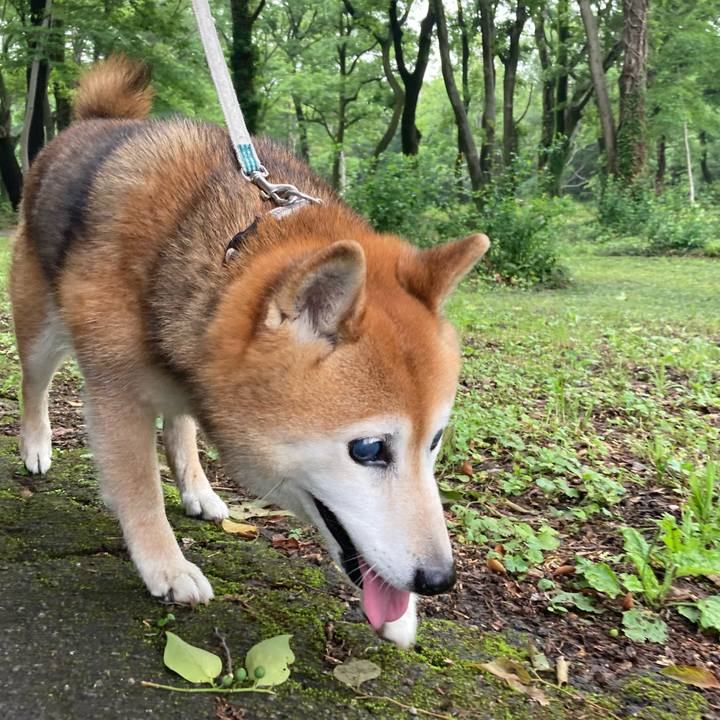 F36fbbd5 dfa2 4144 b29a c72f4619431c 1747570239557