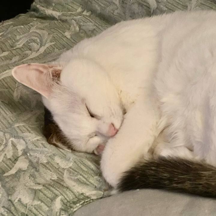 F36fc222 a57b 43cd b9a1 cbc8bf266509 1692349346028