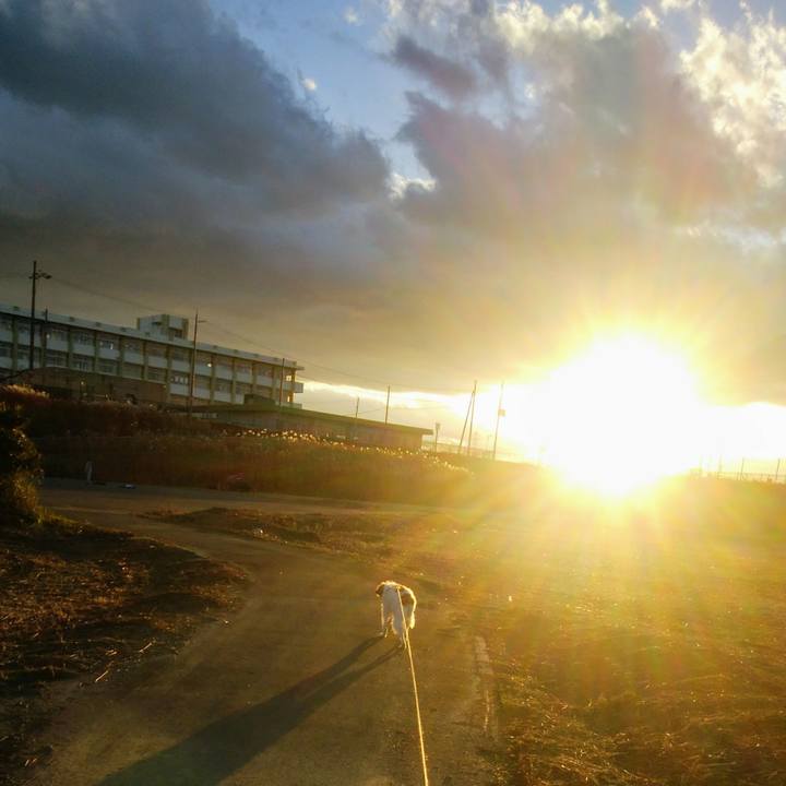 F3700e9d bad3 46ff 84d5 a417273dcc3f 1545912062650