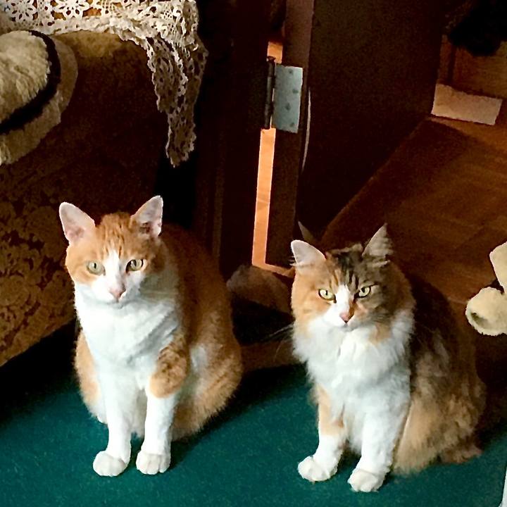 F3703a98 2d34 4fa1 9fc1 cd103050a545 1598084088148