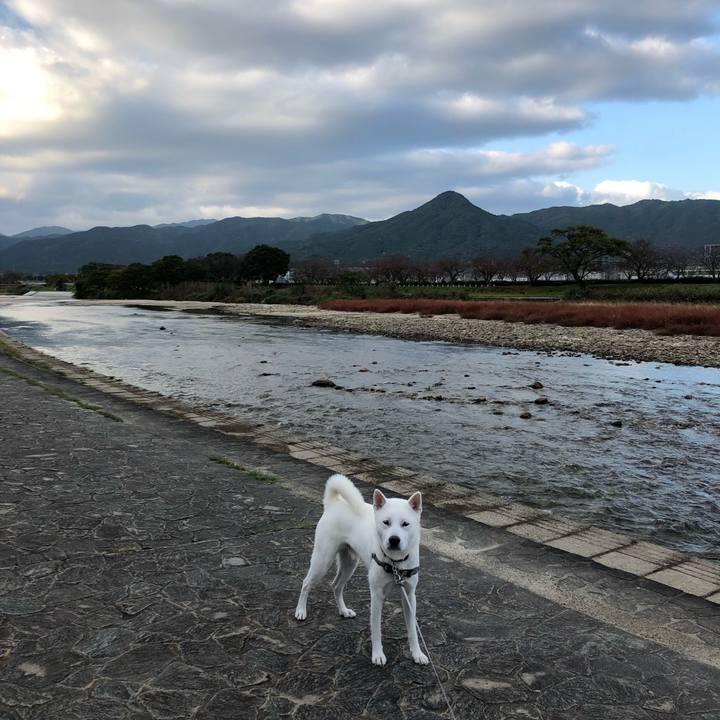 F3703fcf 3ee2 4f78 b6ad bc37c4abaa01 1573702400010