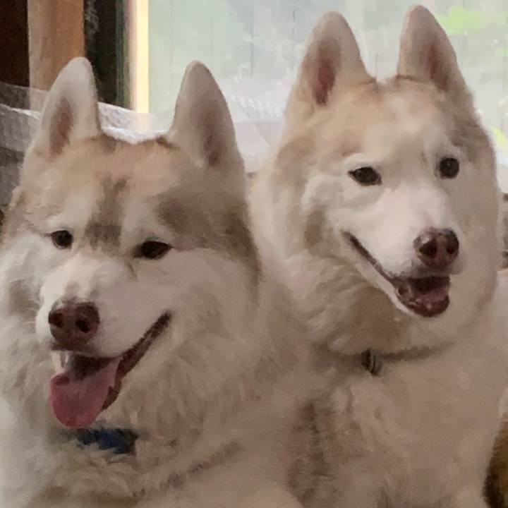 F37042cb 7036 4c9b ac1b b4ea14a7baaf 1730561108054